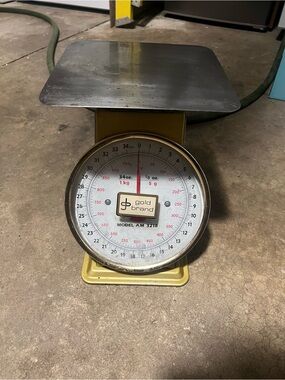 Gold Brand Scale - Gold and Stainless Steel